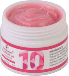 Fsm Gel Builder Nr 10