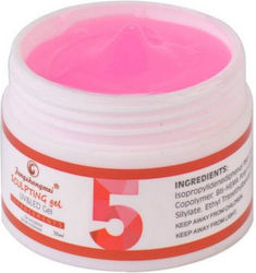 Fsm Gel Builder Nr 5