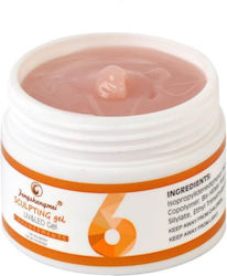 Fsm Gel Builder Nr 6