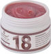 Fsm Gel Builder No 18