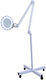 Professional Cosmetic Led Lamp Magnifier Cool Light 5x Wheels