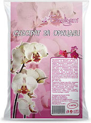 Biocvet Υλικό Φύτευσης 2lt