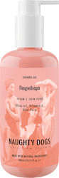 Shower Gel Παιχνιδιαρα 300ml Shower Gel Παιχνιδιαρα 300ml
