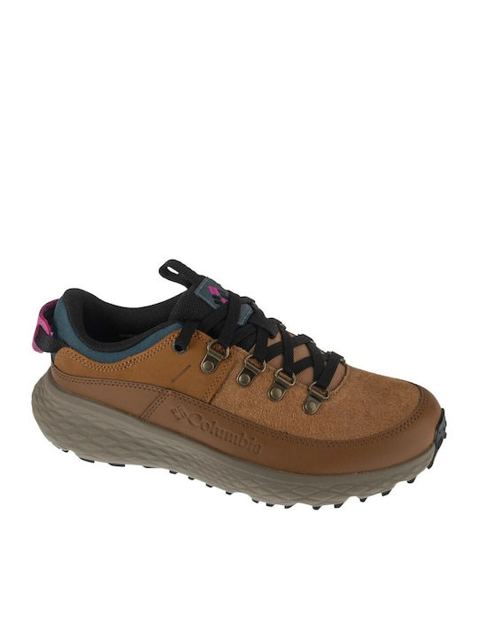 Columbia Terrastride Bc Women's Hiking Shoes Brown