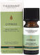 Essential Oil Cypress