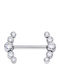 Silver And More Titan Brustwarzenpiercing 14 x 1,6 mm Silber
