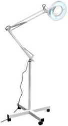 Accesorii Ușoare Pentru Mobilier De Coafură Și Estetică Accesorii Ușoare Pentru Mobilier De Coafură Și Estetică