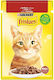 Purina Whiskas Υγρή Τροφή Για Ενήλικες Γάτες Σε Φακελάκι Με Βοδινό Και Κρέας 85gr