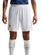 France 26 Match Home Men's Football Jersey Shorts