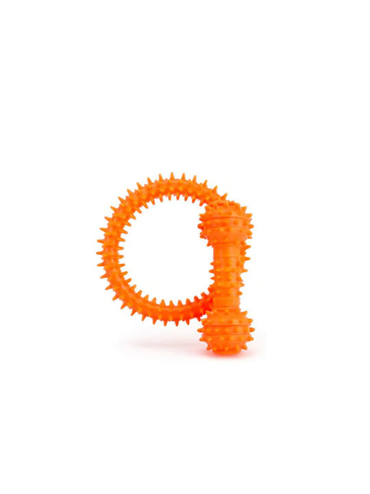 Hundespielzeug Orange