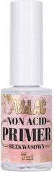 NTN Premium Primer 7ml