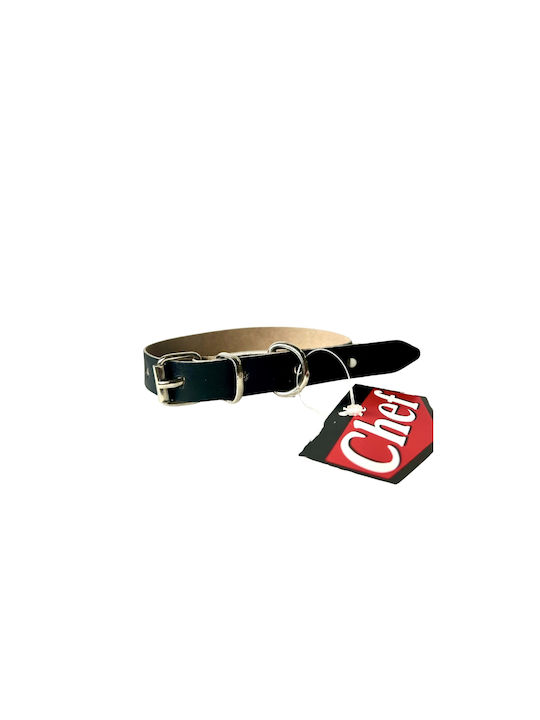 Guler Pentru Câini Piele Cusut Lux Guler Pentru Câini Piele Cusut Lux