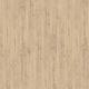Laminated Flooring Kastamonu Delhi Delhi 7.00 Mm 31/ac3