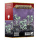 Warhammer Age Sigmar Nighthaunt Духовни Домакини