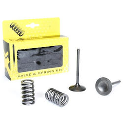 Prox Steel Intake Valve Set +springs Crf450r '02-08