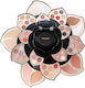Miss Rose Luxus Mehrfarbige Make-up Palette