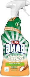 Reckitt Καθαριστικό Spray για Λίπη 750ml