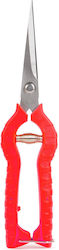 Pruner