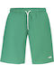 Men's Swimwear Shorts Green