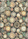 Decoupage Rice Paper Stamperia 21x29cm A4 Garde...