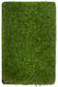 Biokarpet Sole Grass 50mm-200x1000