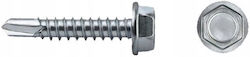 Celo Şurub Cu Diametru M3.5 Şi Lungime 16mm 500 Bucăţi Celo Şurub Cu Diametru M3.5 Şi Lungime 16mm 500 Bucăţi