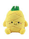 Kinder Wurfkissen I-Total Xl2209h Mittleres Mohn Ananas