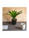 Plastic Decoration Striped Tray 20 X 8.5 Cm