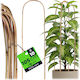 Kadax Bamboo Arch Support 105 X 15 Cm 10 Pcs