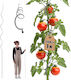 Kadax Spiral Plant Stake Aluminum 150 Cm 1 Pc