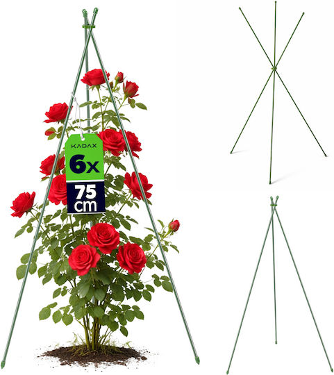 Kadax Conical Garden Stake 3-piece Set 75 Cm 6 Pcs