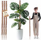 Kadax Coconut Plant Stake Pot Support 120 Cm 3 Pcs