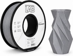 Pla Filament 3d Printer Professional Lab 1 Kg 1.75 Mm Silver Gray
