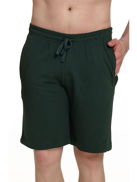 Target Men's Bermuda Shorts Cypress Green