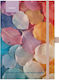 Street Caiet B5 48 Foi Cu Dungi Multicolor