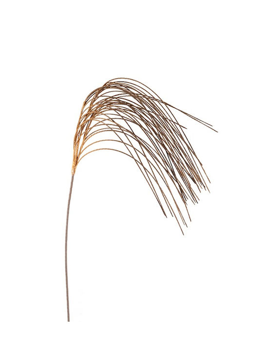 Sucursala Ploaie Maro 140 cm