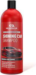 Șampon Auto Spumă Activă 1lt Șampon Auto Spumă Activă 1lt