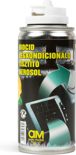 Spray de Curățare pentru Aer Condiționat Auto cu Parfum Proaspăt 100ml