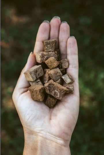Hokuō Hunde- und Katzen-Leckerbissen 100g Für Lebererkrankungen