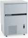 Kastel Ice Machine with Spraying System with Daily Ice Making Capacity 100kg and Storage Capacity 60kg