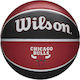 Wilson Team Chicago Bulls Μπάλα Μπάσκετ Indoor/...