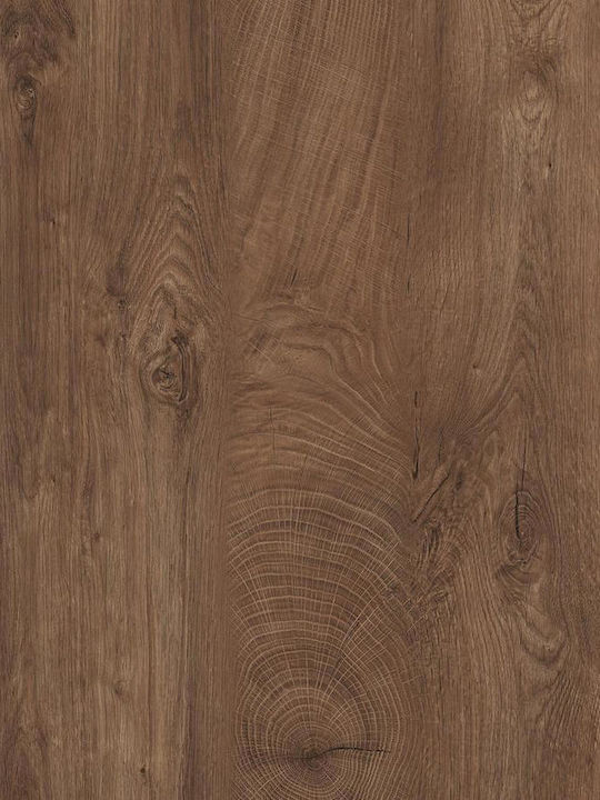 CMS Πάγκος Laminate Φυσικό 205x60x4cm INM271429