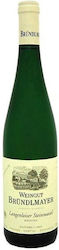 Weingut Brundlmayer Steinmassel Λευκό Ξηρό 750ml