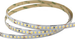 Eurospot LED-Streifen 24V Natürliches Weiß 5m Eurospot LED-Streifen 24V Natürliches Weiß 5m