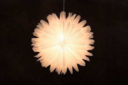 Finnlumor Weihnachtskranz Dekoratives Blume Länge 50cm