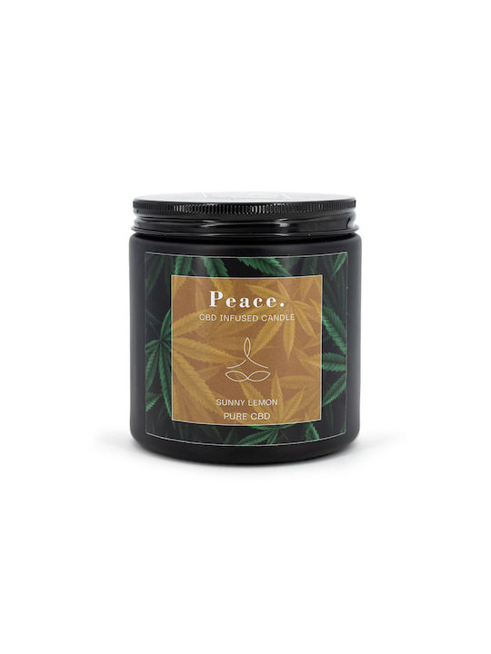 Relaxdays Αρωματικό Κερί Σόγιας Καφέ 350gr