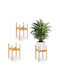 Relaxdays Σετ 3 Γλάστρες Bamboo Μπεζ