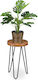 Relaxdays Pflanzenständer Holz Braune 42x25cm
