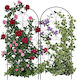Set Suporturi Pentru Plante Cățătoare Relaxdays Negru 116x1x50 Cm