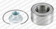 Snr Wheel Bearing Set R189.11